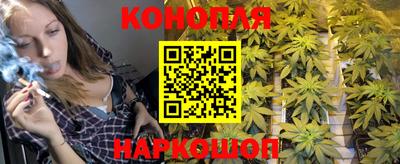 шишки Апрелевка