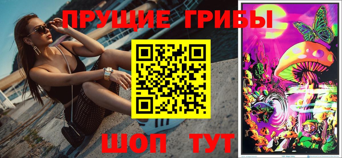 Галлюциногенные грибы Cubensis  Вход с VPN  Шатура  Псилоцибиновые грибы мухоморы 