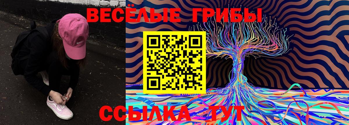 Псилоцибиновые грибы прущие грибы Шатура