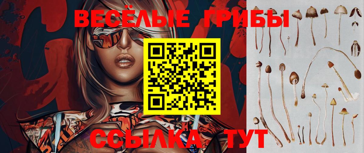 Псилоцибиновые грибы Psilocybine cubensis Шатура