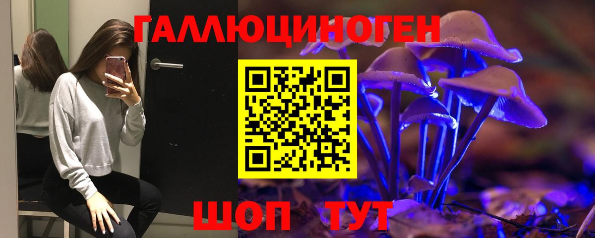 как найти закладки  Галлюциногенные грибы Cubensis  Шатура  Псилоцибиновые грибы Psilocybe 